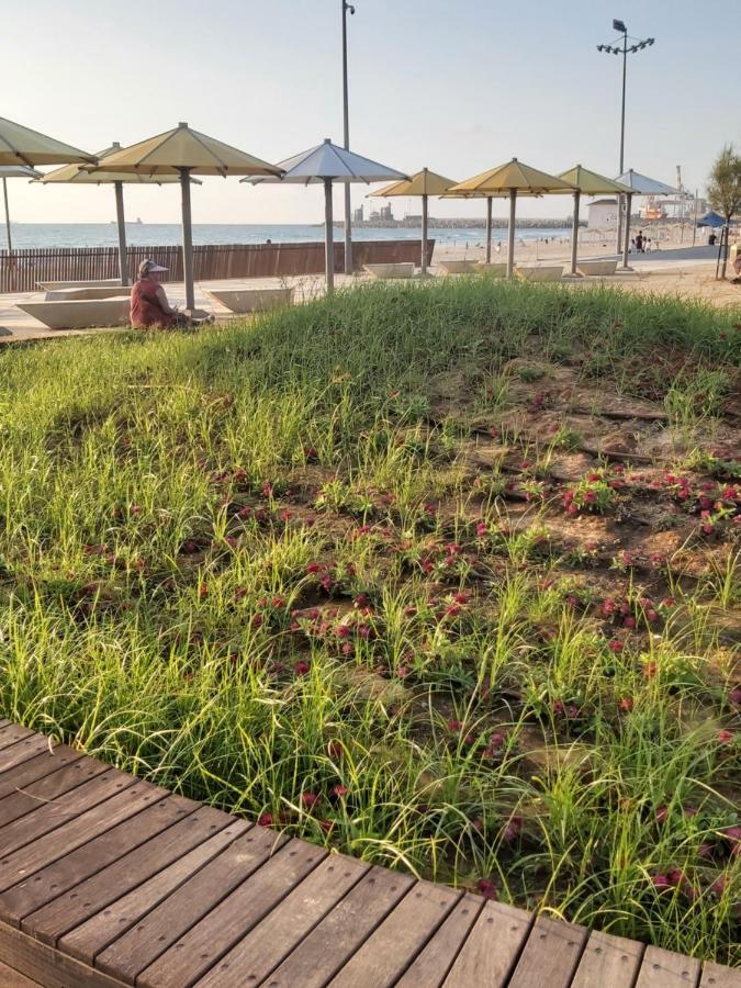 Studio By The Sea Ashdod Bagian luar foto